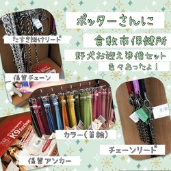 「生体販売をやめたペットショップポッター→譲渡決定！」サムネイル2