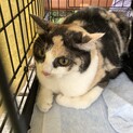 素敵な家族を募集しています！