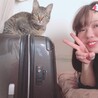まみたむ
