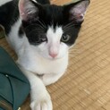 片目のハンデを背負いながらも元気な男の子！