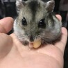 亜華 さん