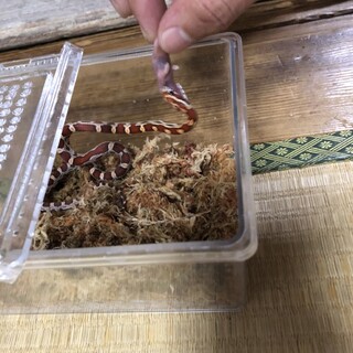 たくさんの応募ありがとうございました。