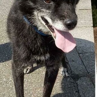 フレンドリーなこ