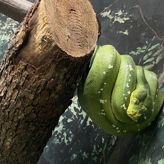 kehのカバー写真