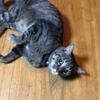 くう