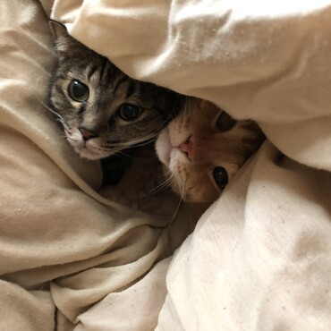 の写真