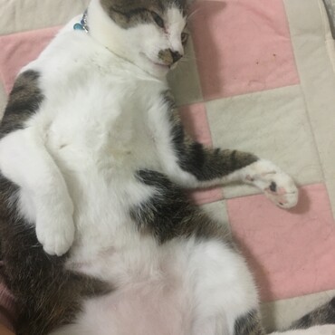 の写真