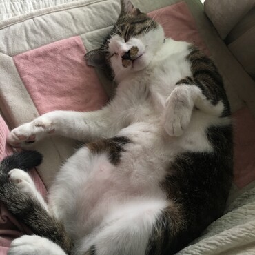 の写真