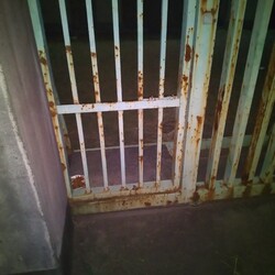 「野良猫一家との出会いから・・・。」サムネイル2