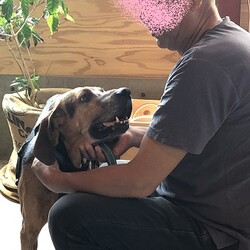 おめでとう♡オークくん