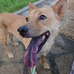 おめでとう♡そわかちゃん