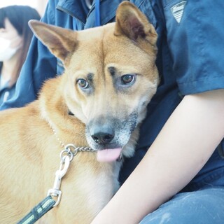 ◆ここから出して◆りょうま君