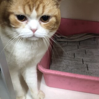 可愛い男の子です。