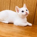 6月中旬生まれの男の子です