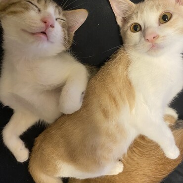 寝顔(^^)