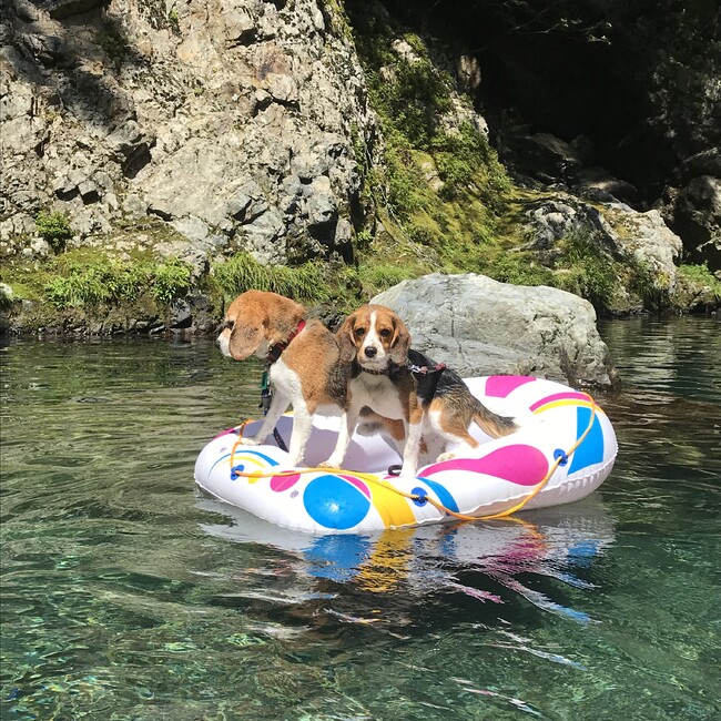 エイトくんママのカバー写真