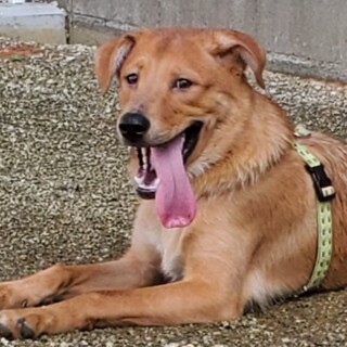 ２２ｋｇの大きなお子ちゃま『セロリ君』１０ヶ月