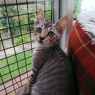 おてんばで可愛いです