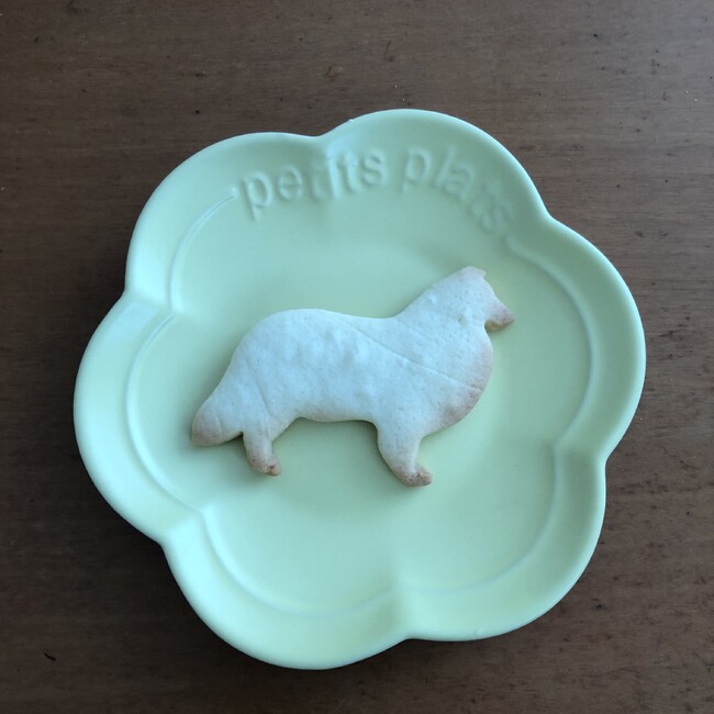 マックスタカヨのカバー写真