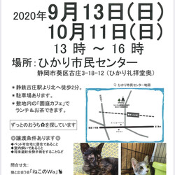 ねこのWa猫譲渡会　静岡市葵区