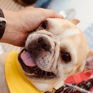 私の夢は家族が出来ること♪朗らか笑顔のフーゴちゃん