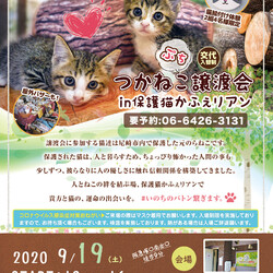 つかねこプチ譲渡会in尼崎(保護猫かふぇリアン)