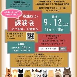 ほご猫の譲渡会