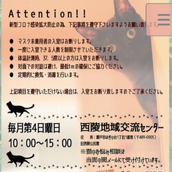 瀬戸ねこ譲渡会(=^x^=)