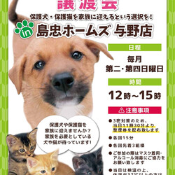 保護犬 保護猫 譲渡会 in ホームズ与野