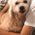 いつも笑顔のララトライアルです