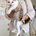 困り顔でサイレントにゃ〜❤︎頭に花咲いちゃう❤︎花