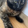 の写真