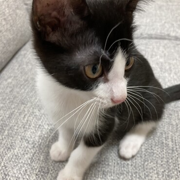 2ヶ月目　ちょっと大きくなりました