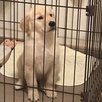 木口絢賀