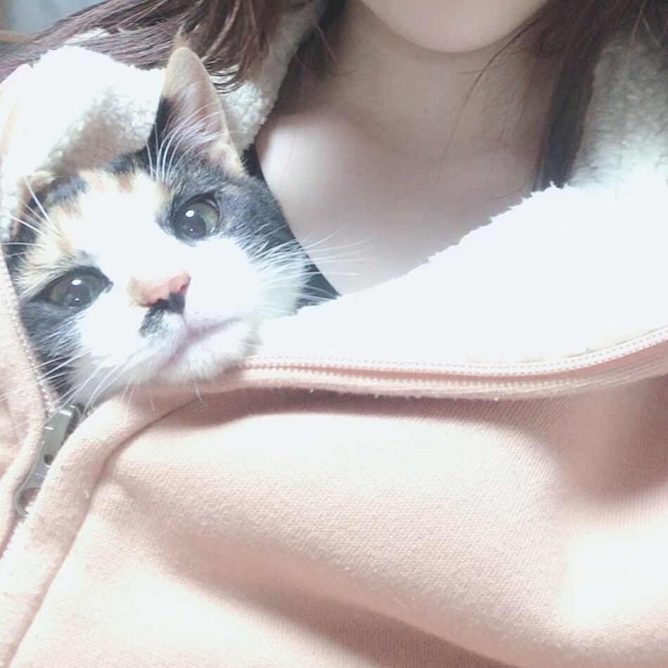 みるくのカバー写真