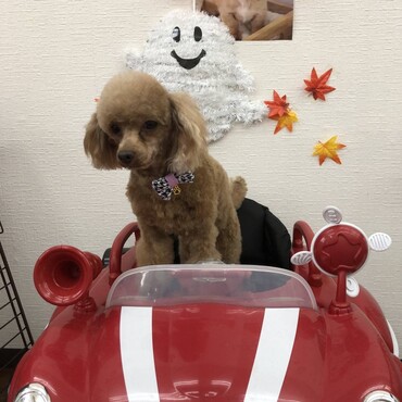 の写真