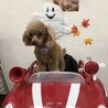 の写真