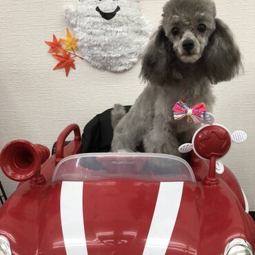 の写真