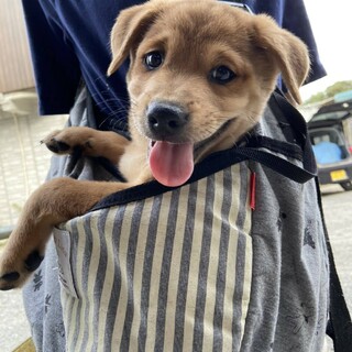 やんちゃな男の子じろう君♪トライアル