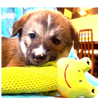 お名前とは裏腹に今どき男子の“伊右衛門くん”