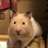 みるく