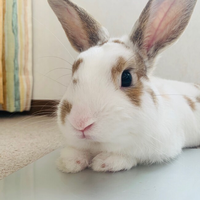 えみかずのカバー写真