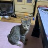 ソラ
