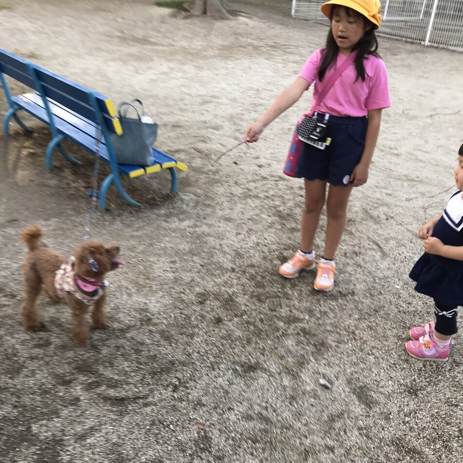 ショコラのカバー写真