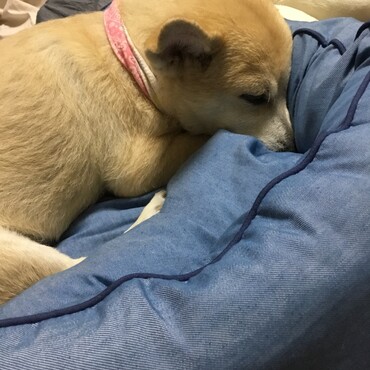 の写真