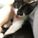 前川ぽくちん、里親さま決定しました