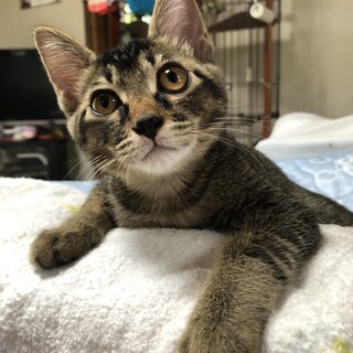 留守番も安心な月齢です^ ^