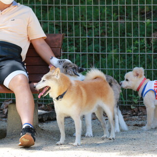 Nさん宅に迎えていただけました