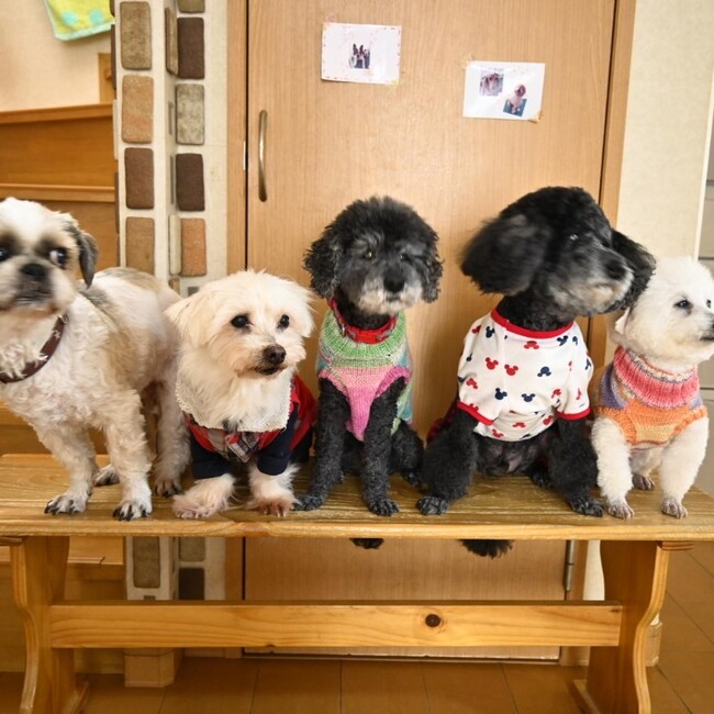 NPOこはるのカバー写真