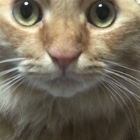 メトロ